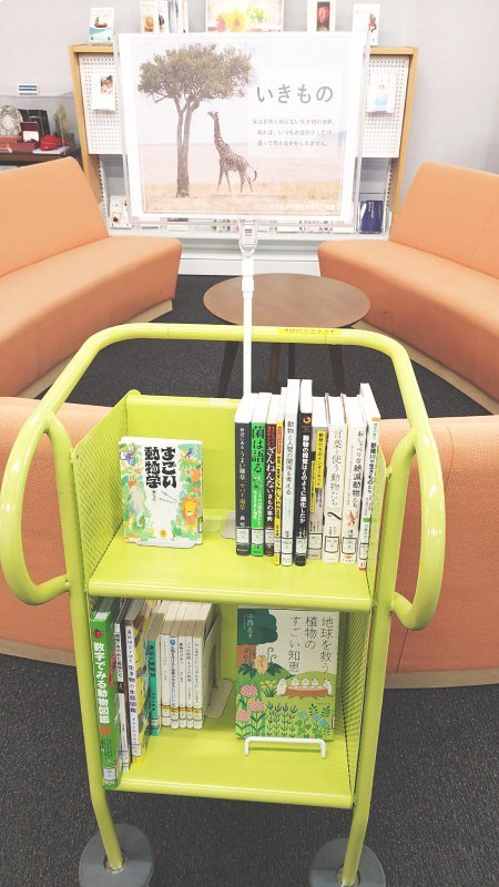展示の様子