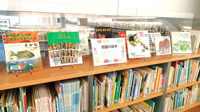 児童書展示の様子