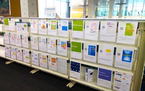 展示の様子