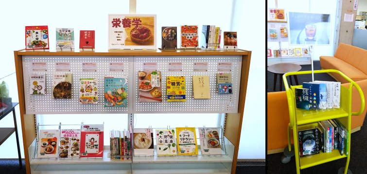 展示の様子